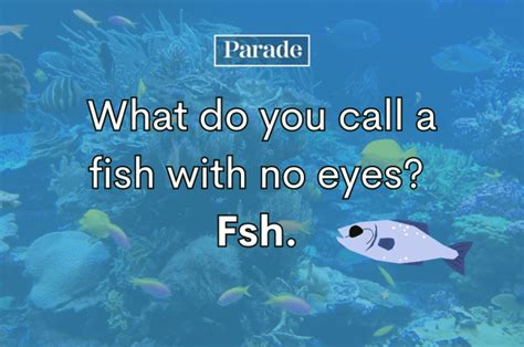 100 Funny Fish Jokes That Will Make You Laugh .